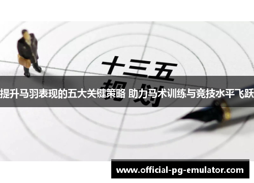 提升马羽表现的五大关键策略 助力马术训练与竞技水平飞跃