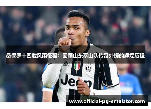 桑德罗十四载风雨征程：回顾山东泰山队传奇外援的辉煌历程