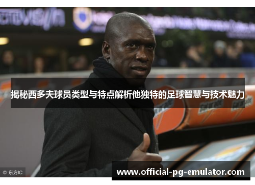 揭秘西多夫球员类型与特点解析他独特的足球智慧与技术魅力
