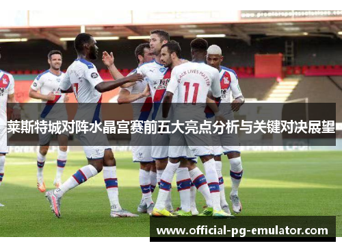 莱斯特城对阵水晶宫赛前五大亮点分析与关键对决展望