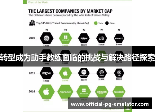 转型成为助手教练面临的挑战与解决路径探索 转型成为助手教练面临的挑战与解决路径探索