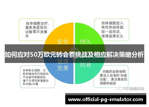 如何应对50万欧元转会费挑战及相应解决策略分析