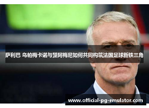 萨利巴 乌帕梅卡诺与楚阿梅尼如何共同构筑法国足球新铁三角